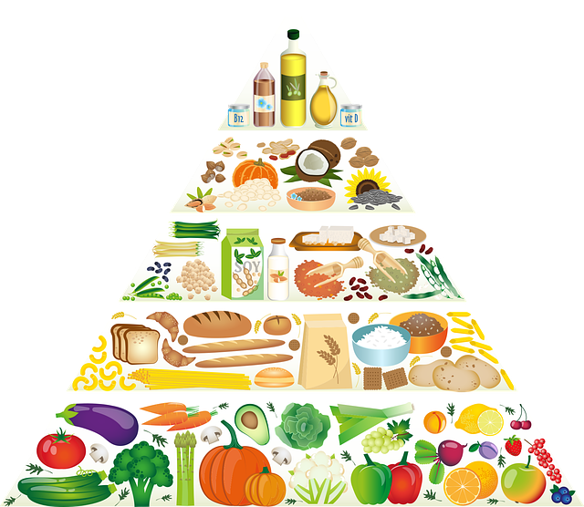 Piramida żywienia dla dzieci – fundament zdrowego rozwoju Twojego malucha